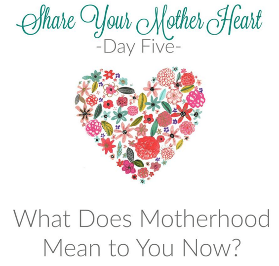 Screen Shot 2016-05-05 at 7.24.00 PM.png