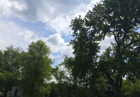 Screen Shot 2016-05-22 at 1.48.45 PM.png