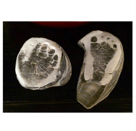 Screen Shot 2016-07-05 at 1.15.57 PM.png