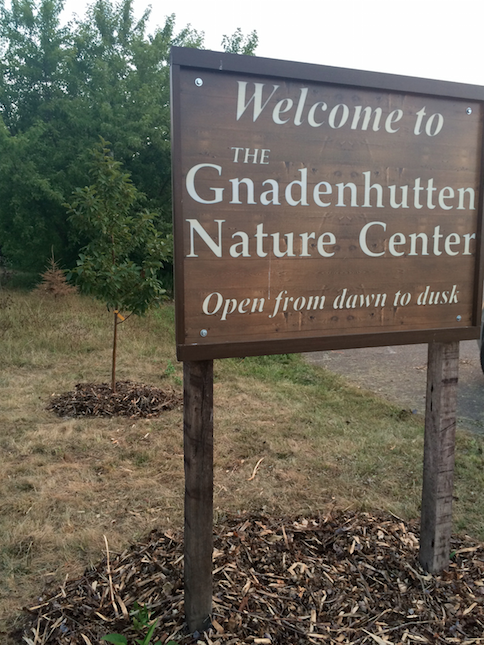 Screen Shot 2016-08-05 at 9.33.15 PM.png