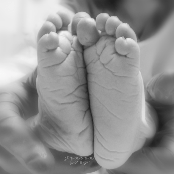 Screen Shot 2016-08-21 at 11.08.14 PM.png