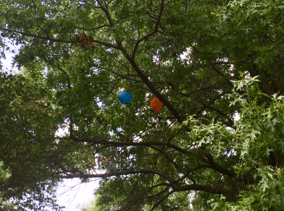 Screen Shot 2016-09-18 at 10.06.26 PM.png