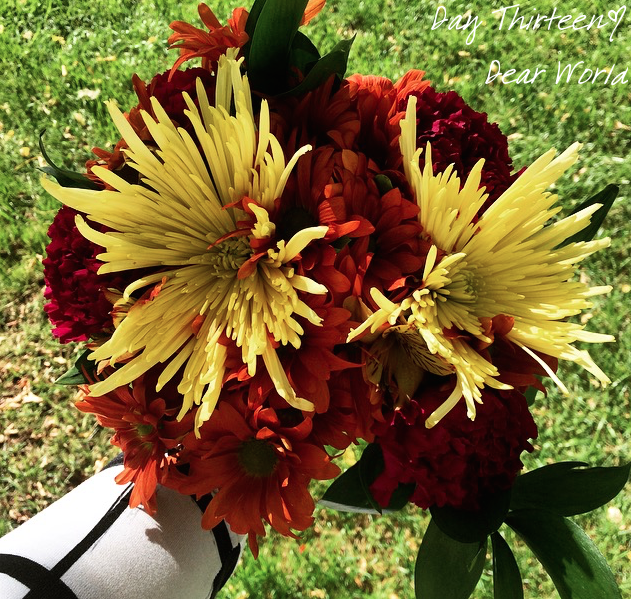 Screen Shot 2016-10-13 at 3.05.45 PM.png