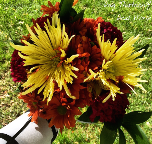 Screen Shot 2016-10-13 at 3.05.45 PM.png