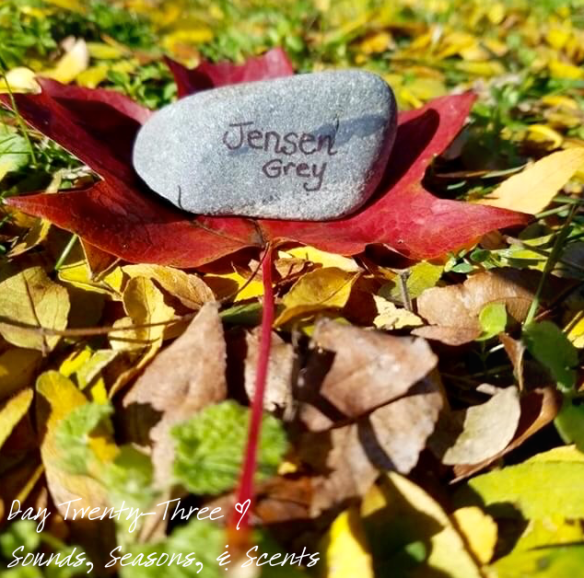 Screen Shot 2016-10-23 at 6.35.59 PM.png