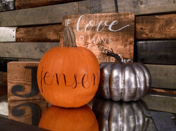 Capture Your Grief, My Promise To You, Pumpkins