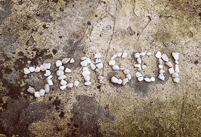 Jensen's Name in Stones (Gina).png